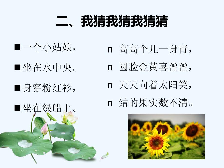 《植物夏令营》课件_第4页