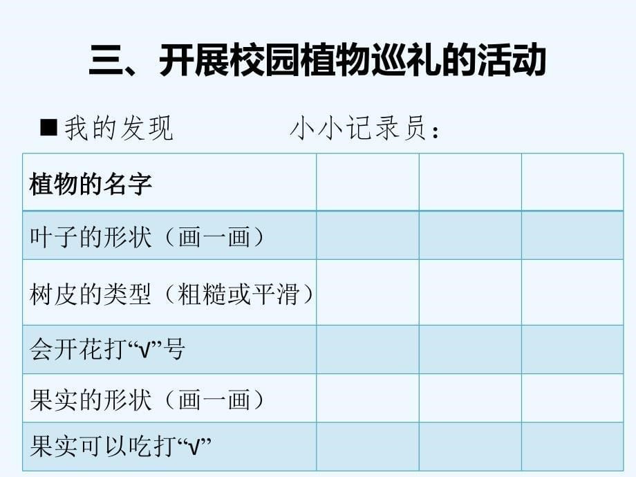 《植物夏令营》课件_第5页