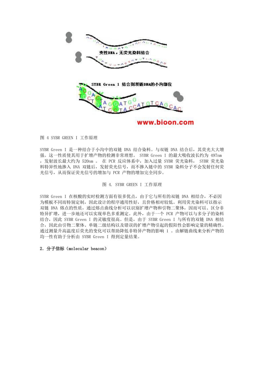 荧光定量原理_第3页