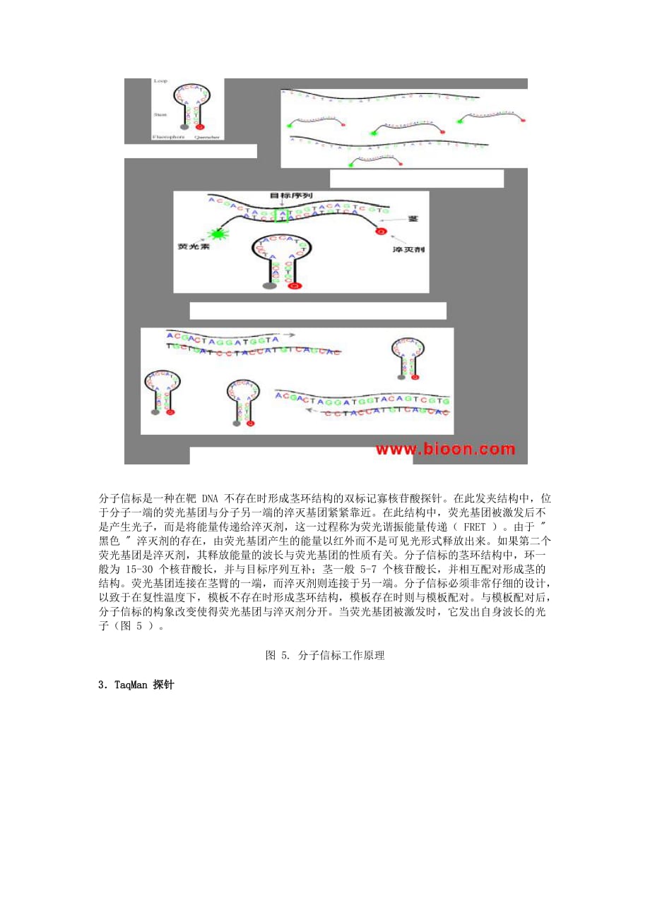 荧光定量原理_第4页