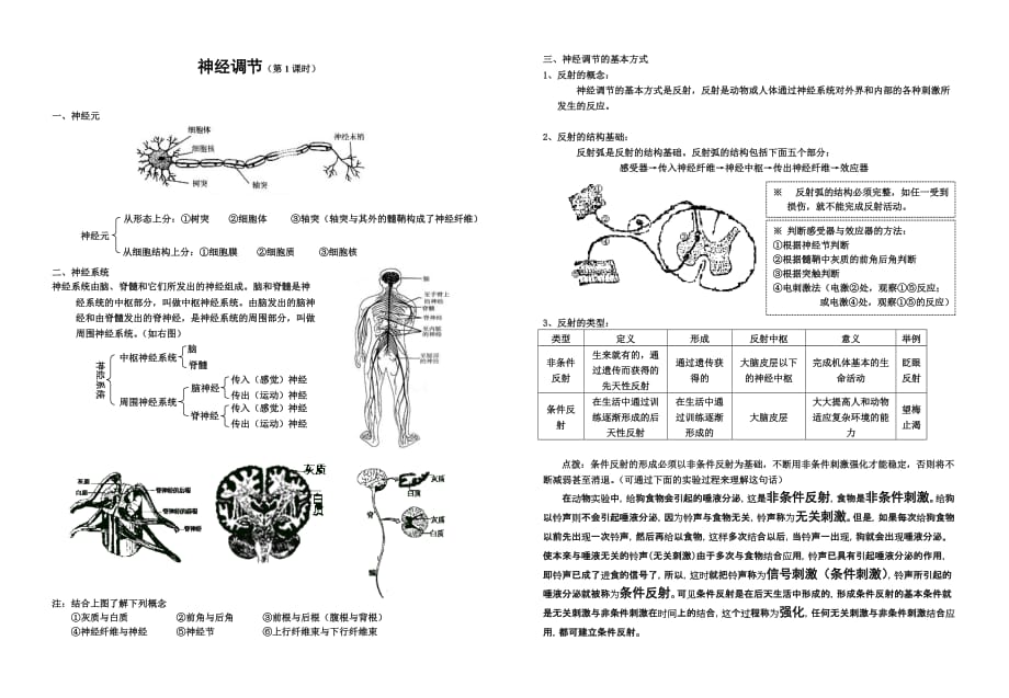 高中生物必修3神经调节详解_第1页