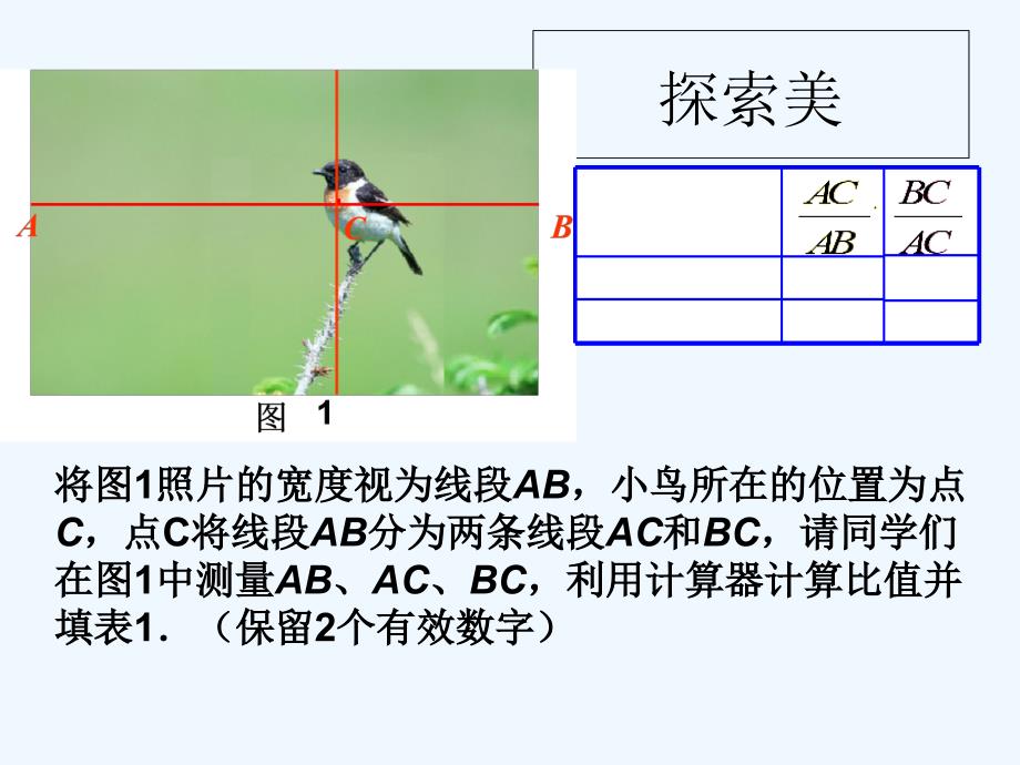 数学北师大版九年级上册探究概念_第3页