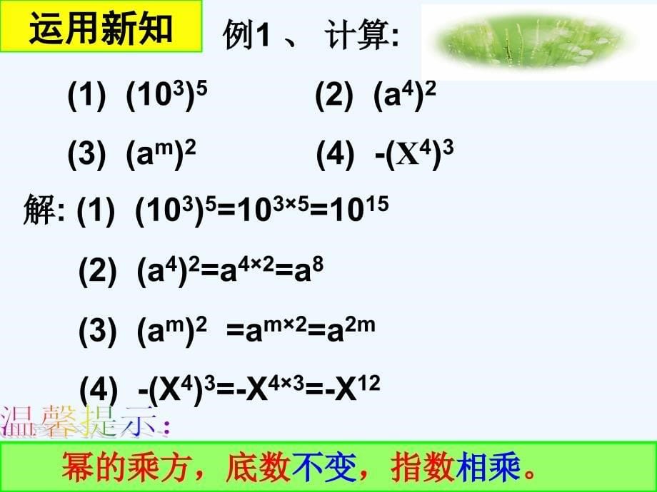 数学人教版八年级上册14.1.2 幂的乘方.1.2 幂的乘方 支教课_第5页