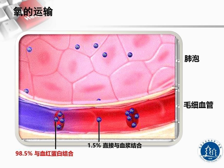 动脉血气分析六步法资料_第5页