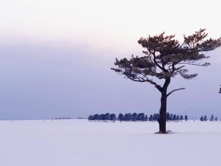 语文人教版八年级下册第六课雪课件_第3页