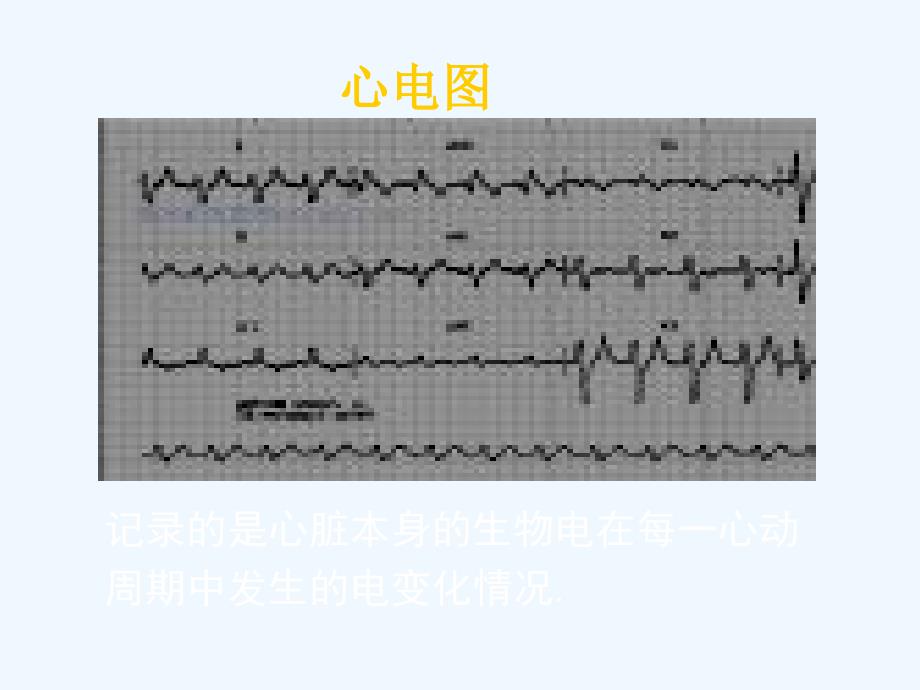 北师大版数学八年级上学期第四章第一节函数_第4页