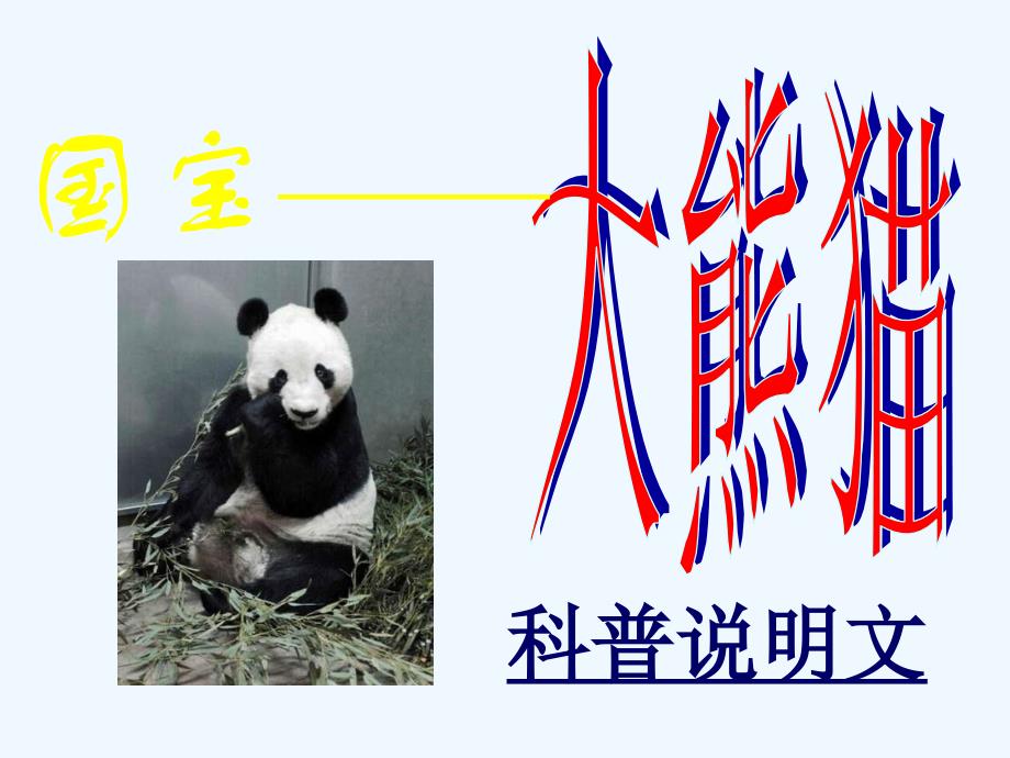 《国宝——大熊猫》课件7_第2页