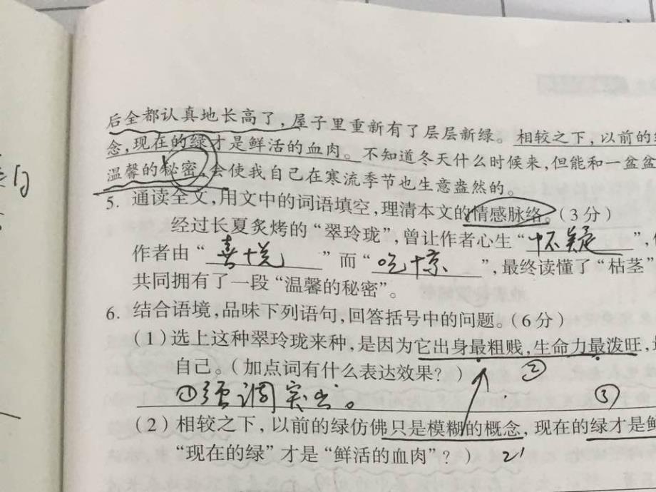 语文人教版九年级下册回到原文划答案——考试说明卷4的答案讲解_第4页