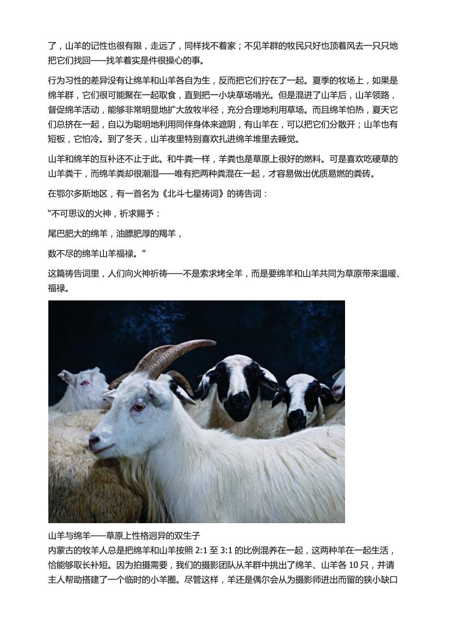 草原五畜羊为首_第5页