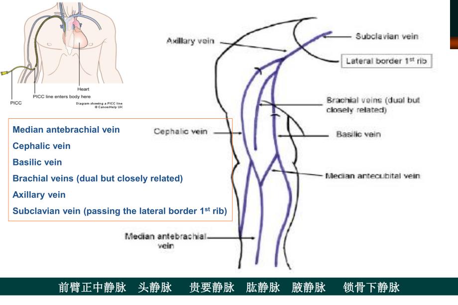 导管的影像学定位--资料_第4页