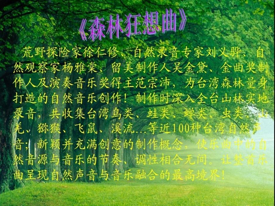 《森林狂想曲》课件2_第3页