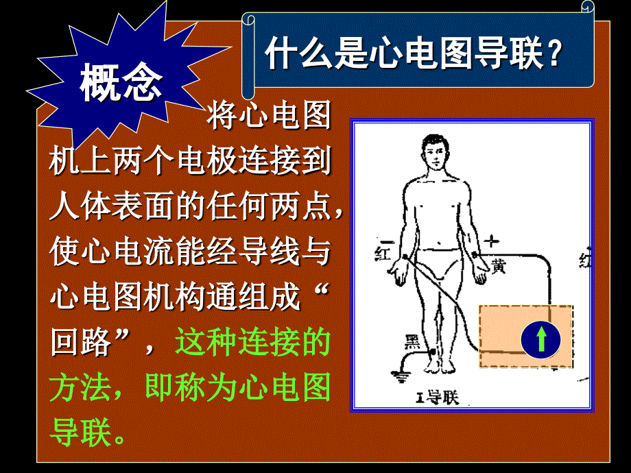 心电图导联体系资料_第2页