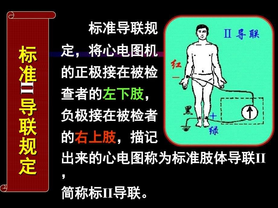 心电图导联体系资料_第5页