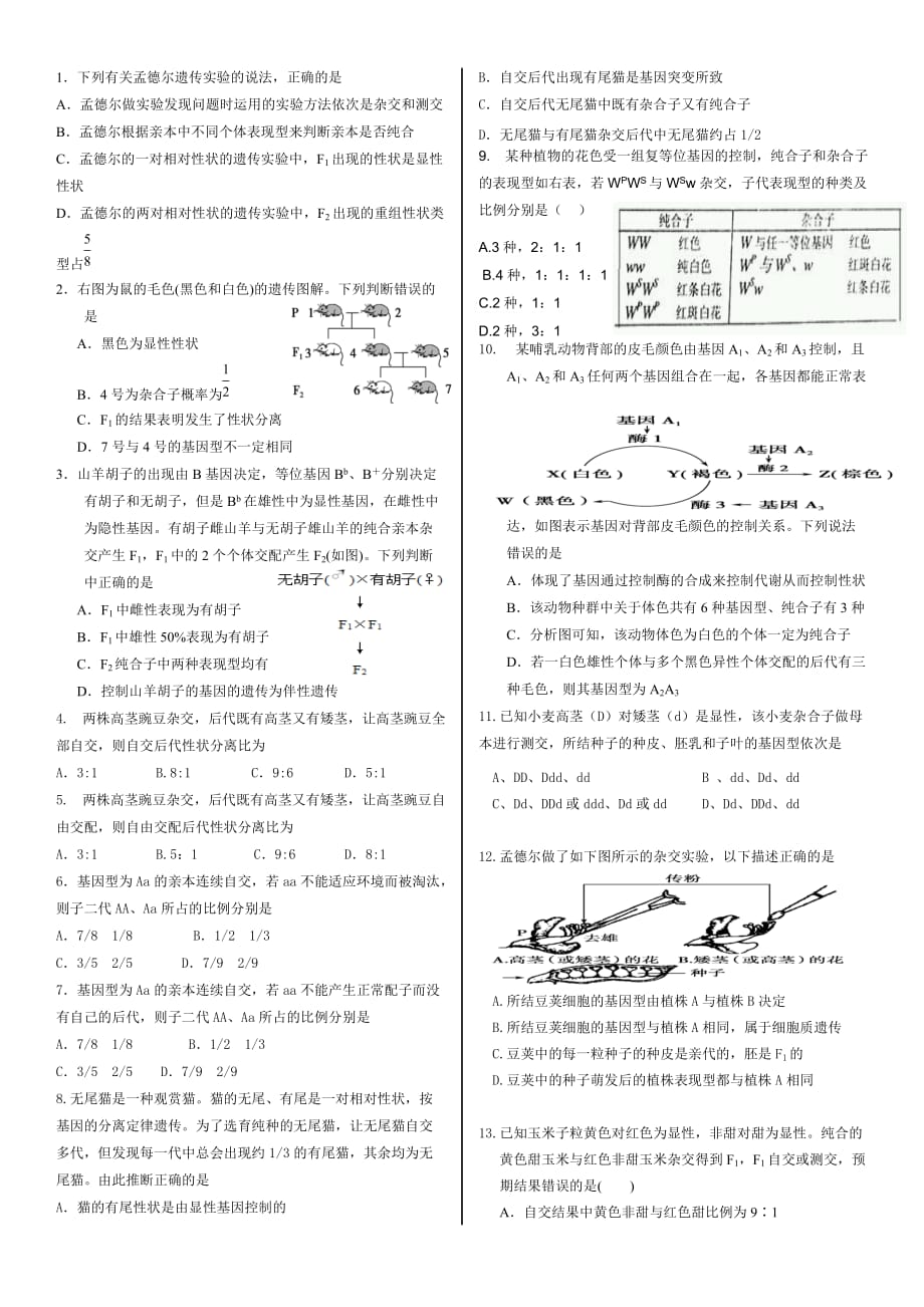 高考生物遗传专题训练及答案_第1页