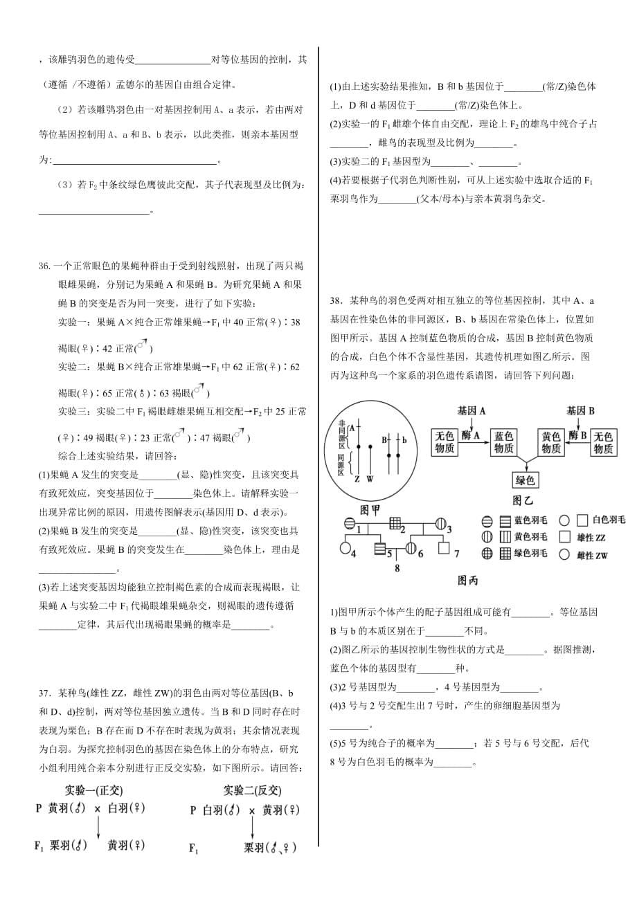 高考生物遗传专题训练及答案_第5页