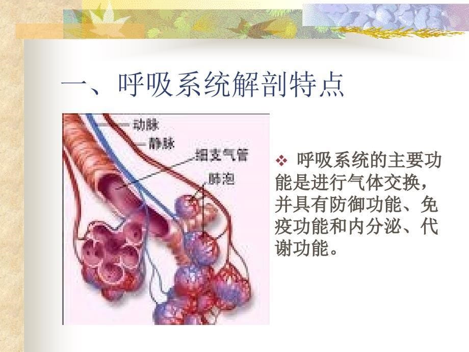 呼吸道疾病护理管理_第5页