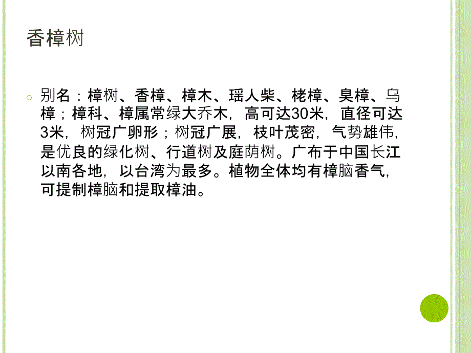 教科版小学科学一年级上1.6校园里的植物资料_第4页