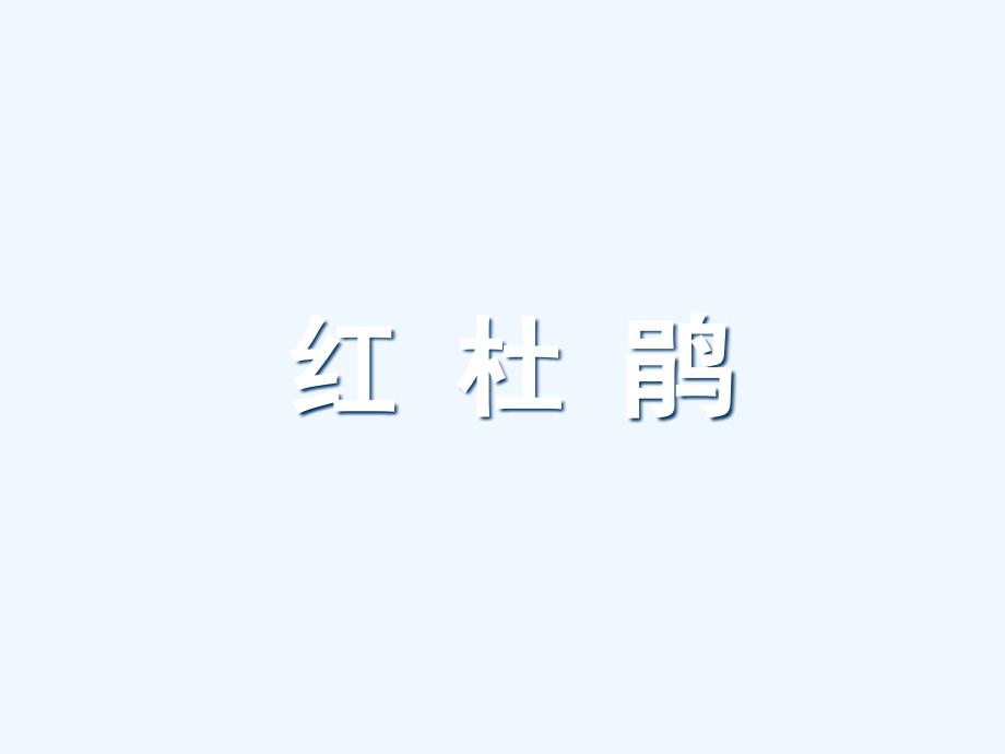 《红杜鹃》课件_第1页