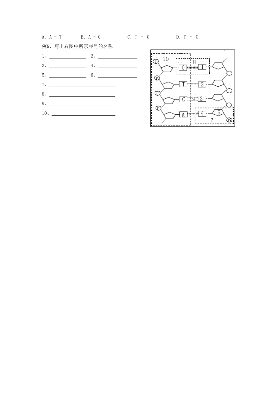 《dna的结构和dna的复制》学案5_第3页