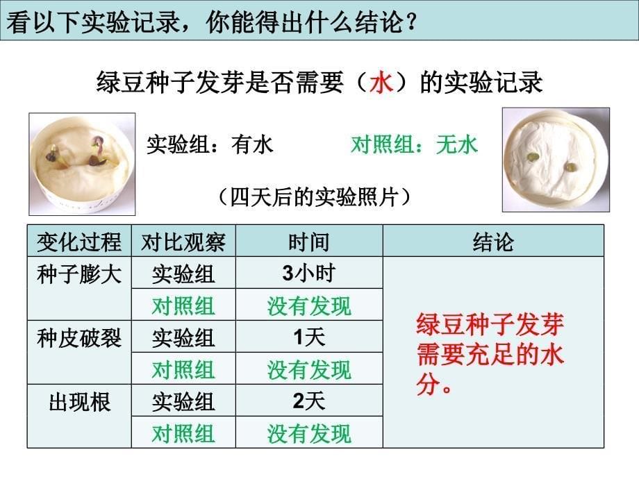 教科版五年级上册科学种子发芽实验二资料_第5页