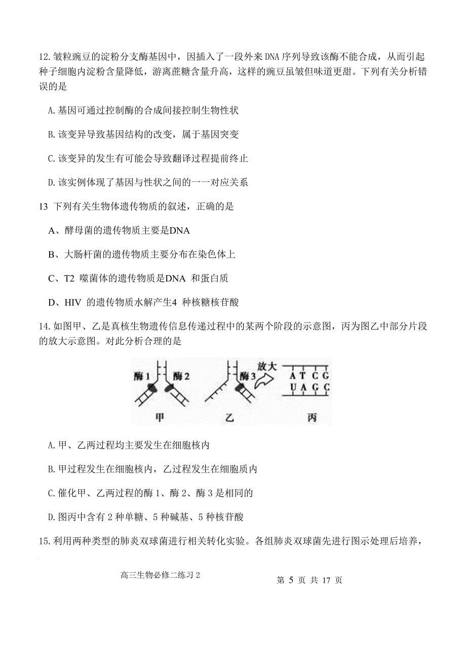 高中生物必修2练习题_第5页