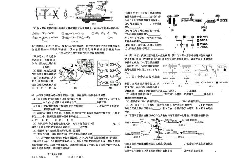 高中生物必修2复习习题_第5页