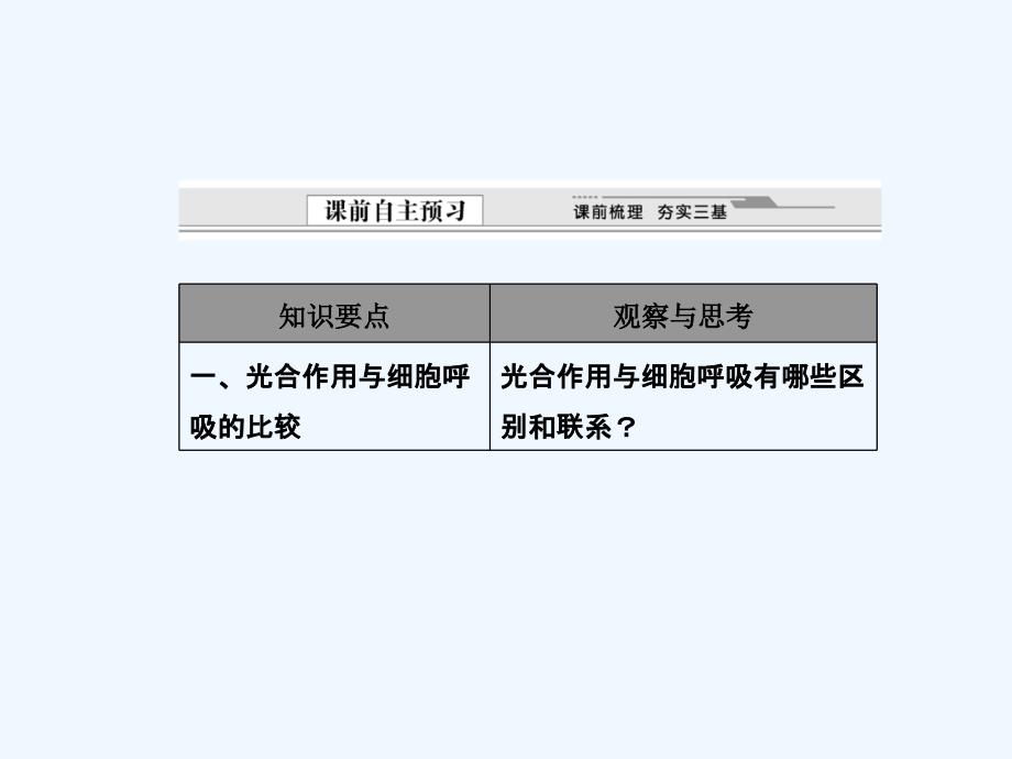 《光合作用的过程》课件_第3页