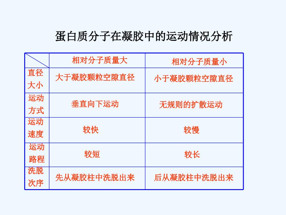 蛋白质在凝胶中的运动情况分析_第1页