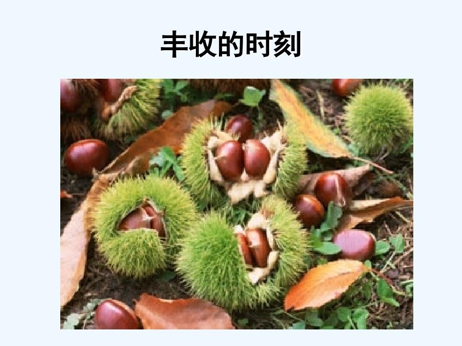 《绿色植物是生物圈中有机物的制造者》课件2_第2页