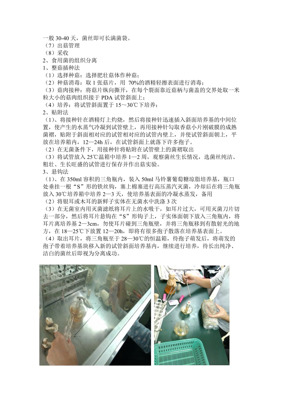 食用菌栽培技术实验报告_第2页