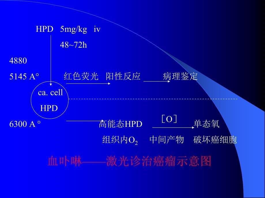 激光光动力学治疗法幻灯资料_第5页