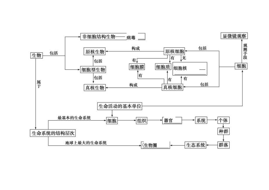 高中生物必修一知识框架.pdf_第1页