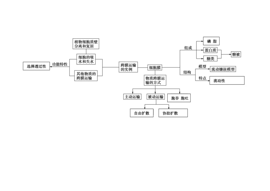 高中生物必修一知识框架.pdf_第4页