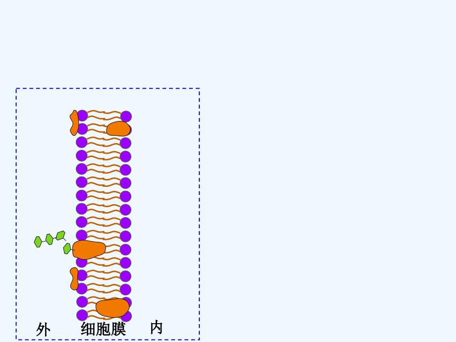 《物质跨膜运输的方式》课件1_第4页