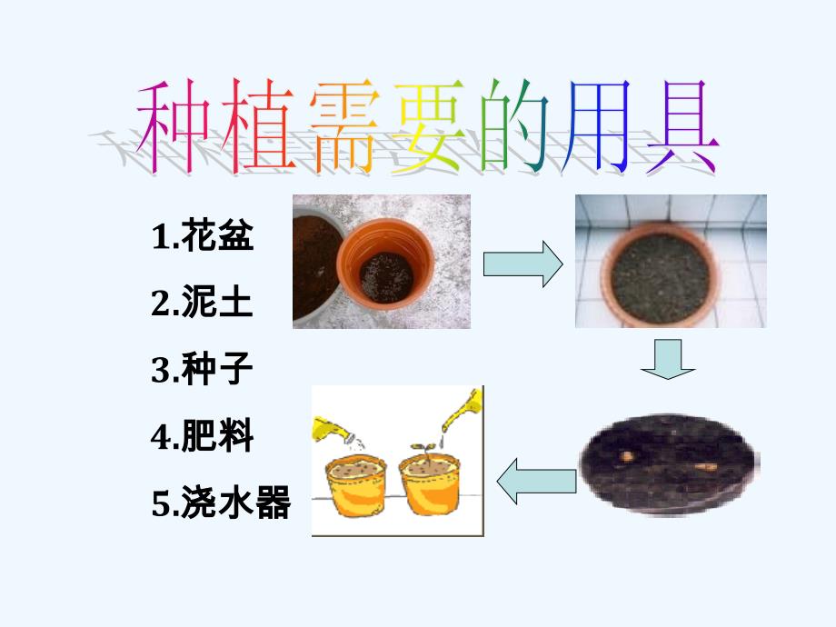 《春天的种植》课件1_第2页