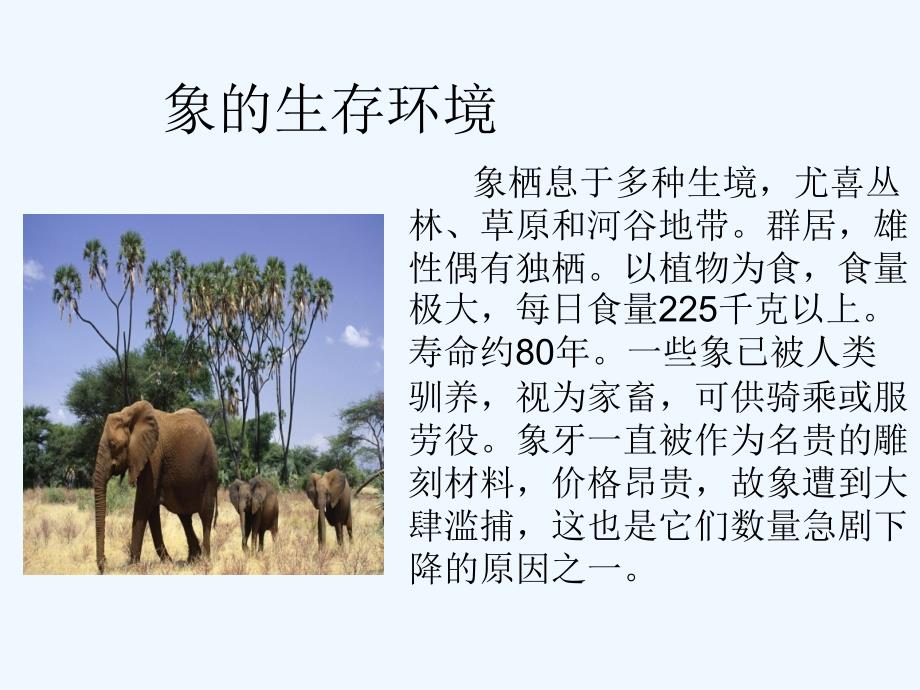 大象生存环境_第1页