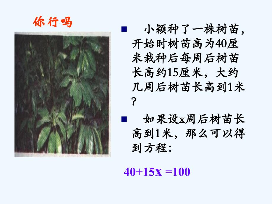 数学北师大版七年级上册认识一元一次方程.ppt_第3页