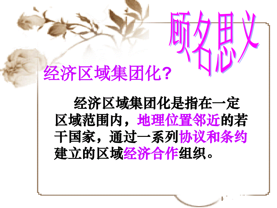 《世界经济的区域集团化》课件2_第2页