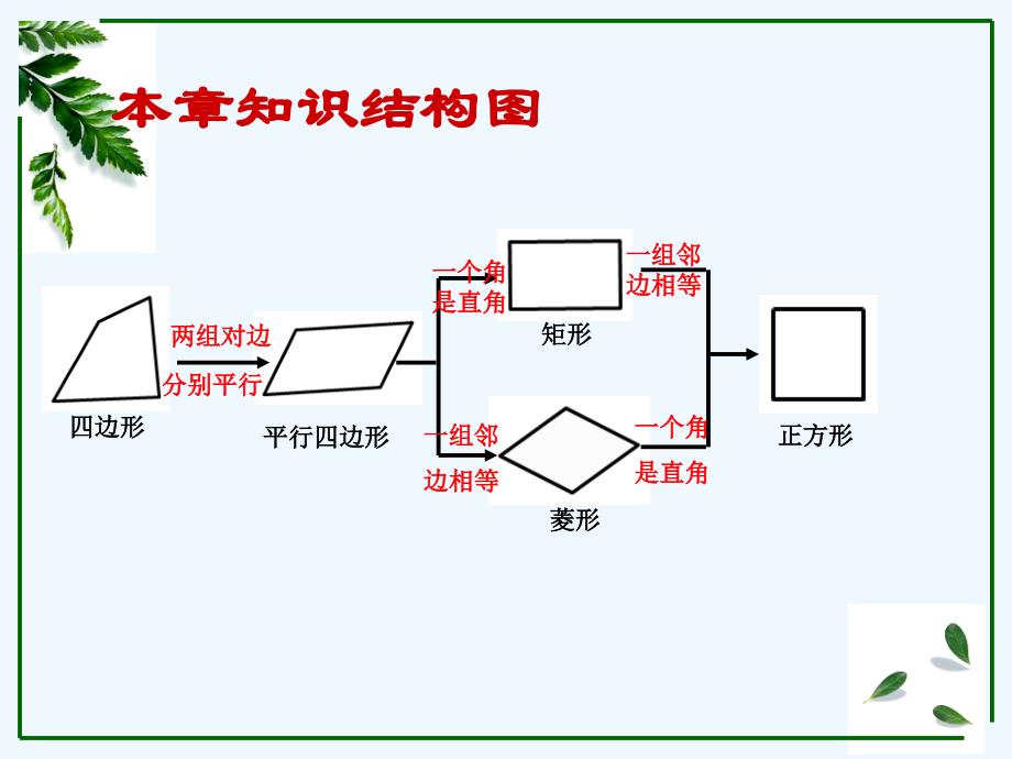 数学人教版八年级下册平行四边形 小结_第3页