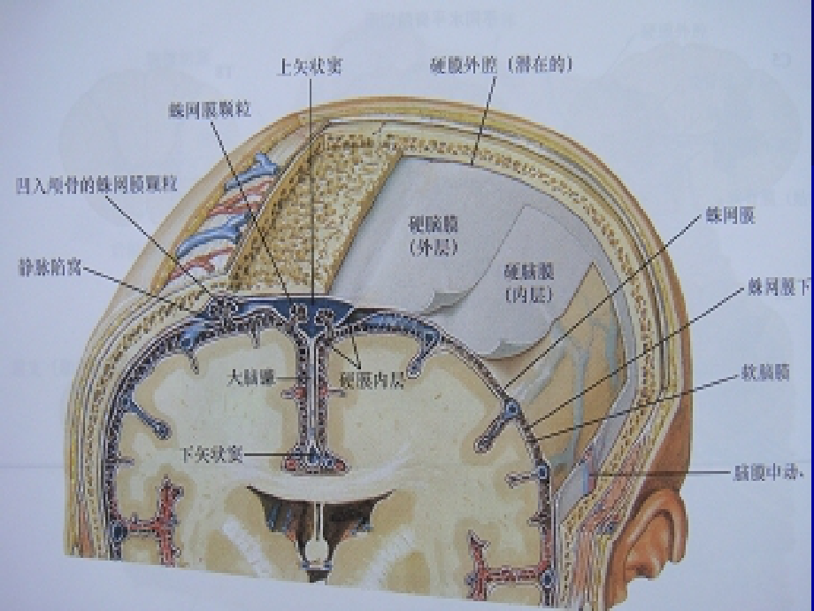 普与腹腔镜_第4页