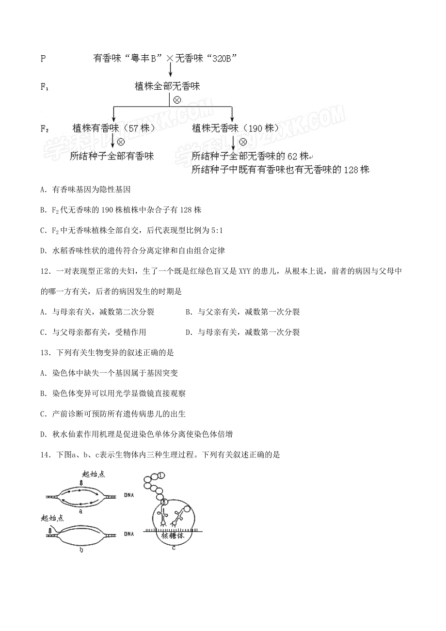 江苏省2016届高三12月月考生物试题解析（原卷版）_第4页