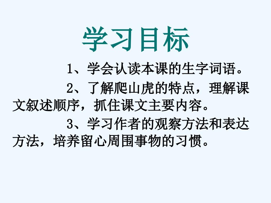 《爬山虎的脚》课件 1_第4页