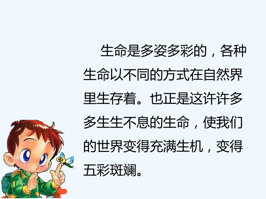 生命是多姿多彩的_第4页