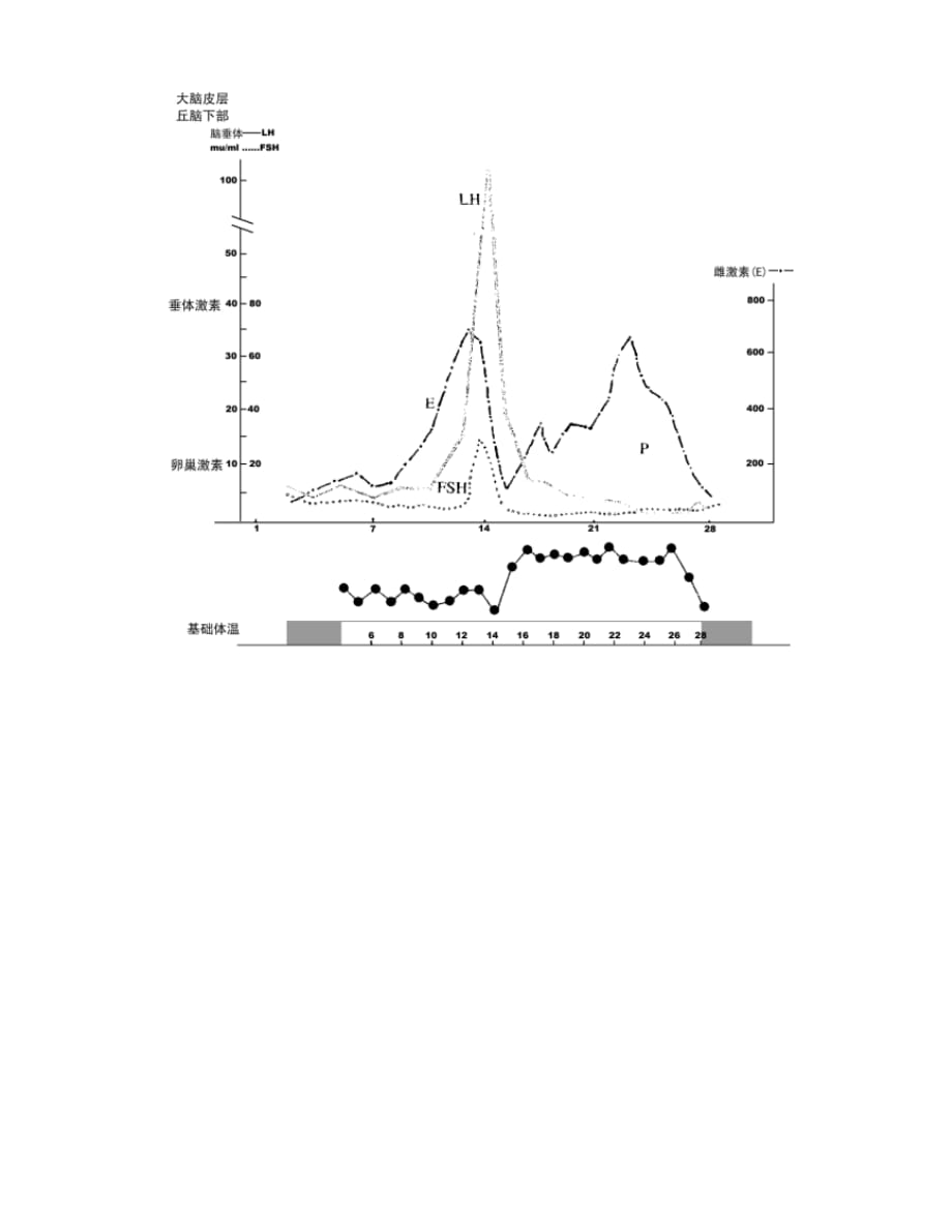 月经周期与性激素变化资料_第5页