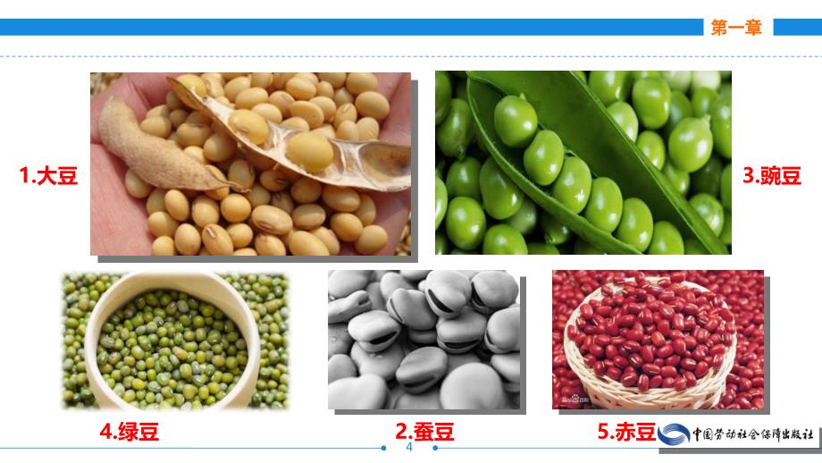 烹饪原料知识第三版)-第一章 粮食类原料 第二节豆类粮食及其制品资料_第4页