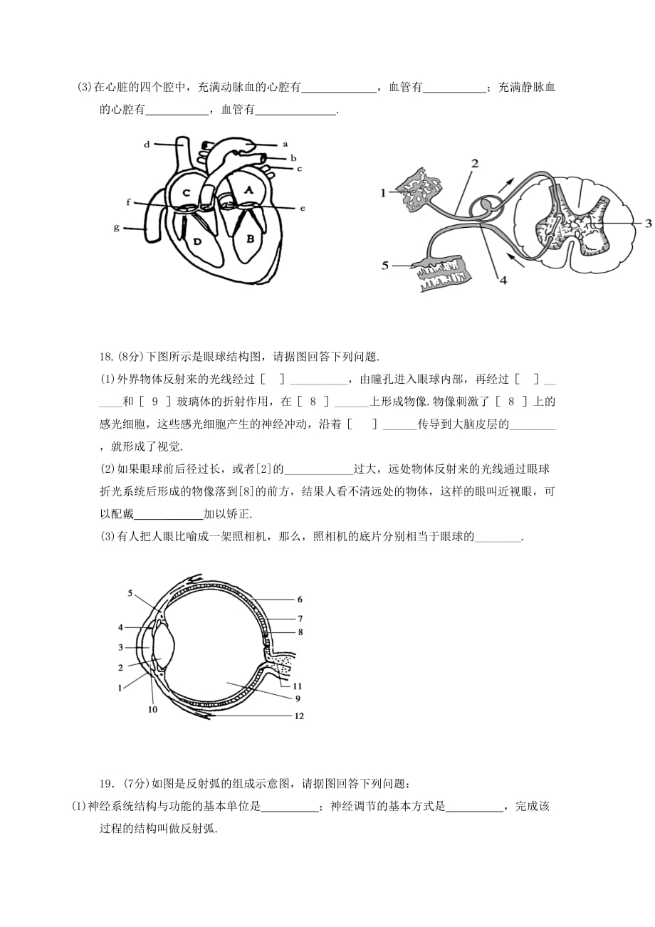 辽宁省大石桥市水源镇第二初级中学2015-2016学年七年级下学期期末模拟考试生物试题_第3页