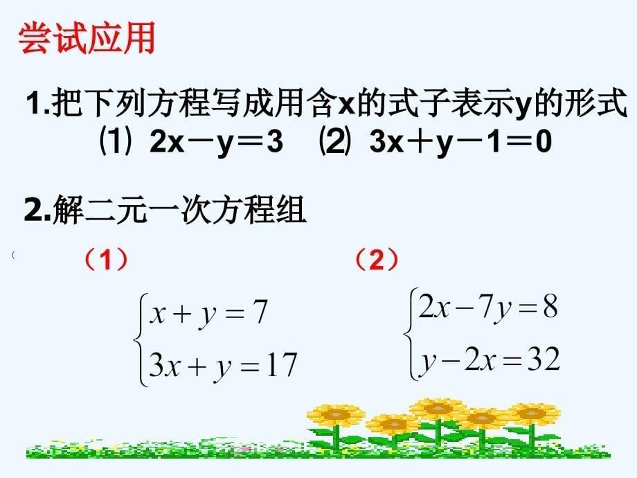 人教版数学七年级下册消元——二元一次方程组的解法（代入法）_第5页