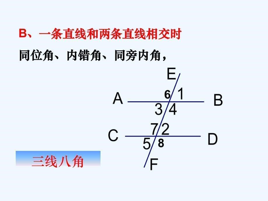 数学人教版七年级下册期末专题复习：相交线与平行线_第5页