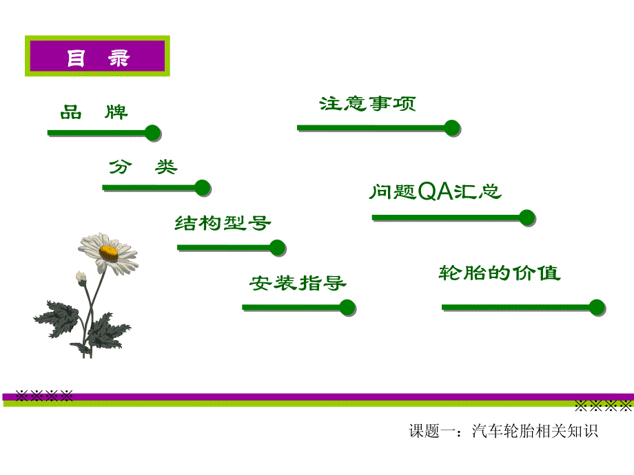 轮胎的知识-生产品牌-20101018-1资料_第2页