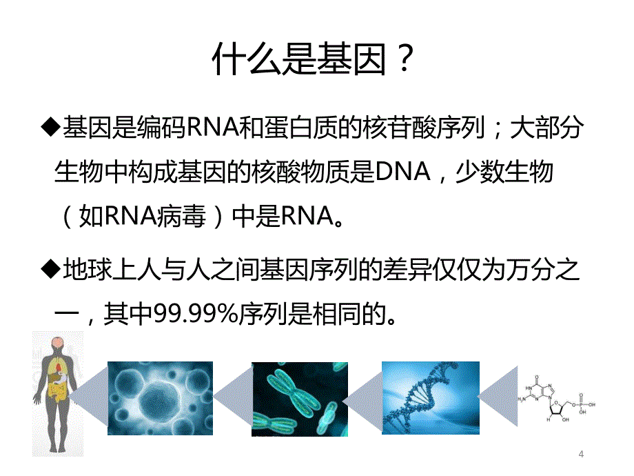 课件1-基因检测新进展资料_第4页